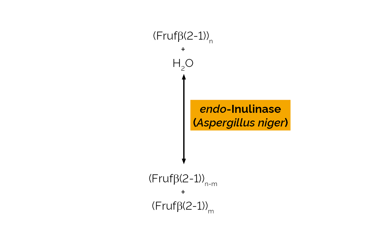 endo-Inulinase (Aspergillus niger) (E-ENDOIAN) Scheme