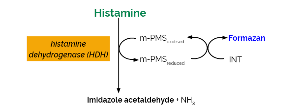 Scheme-K-HISTA HISTA Megazyme