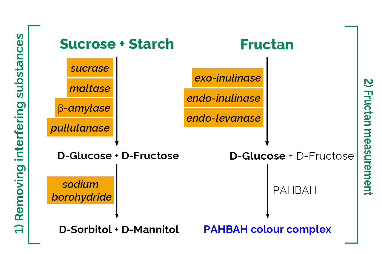Fructan Assay Kit (K-FRUC) Scheme