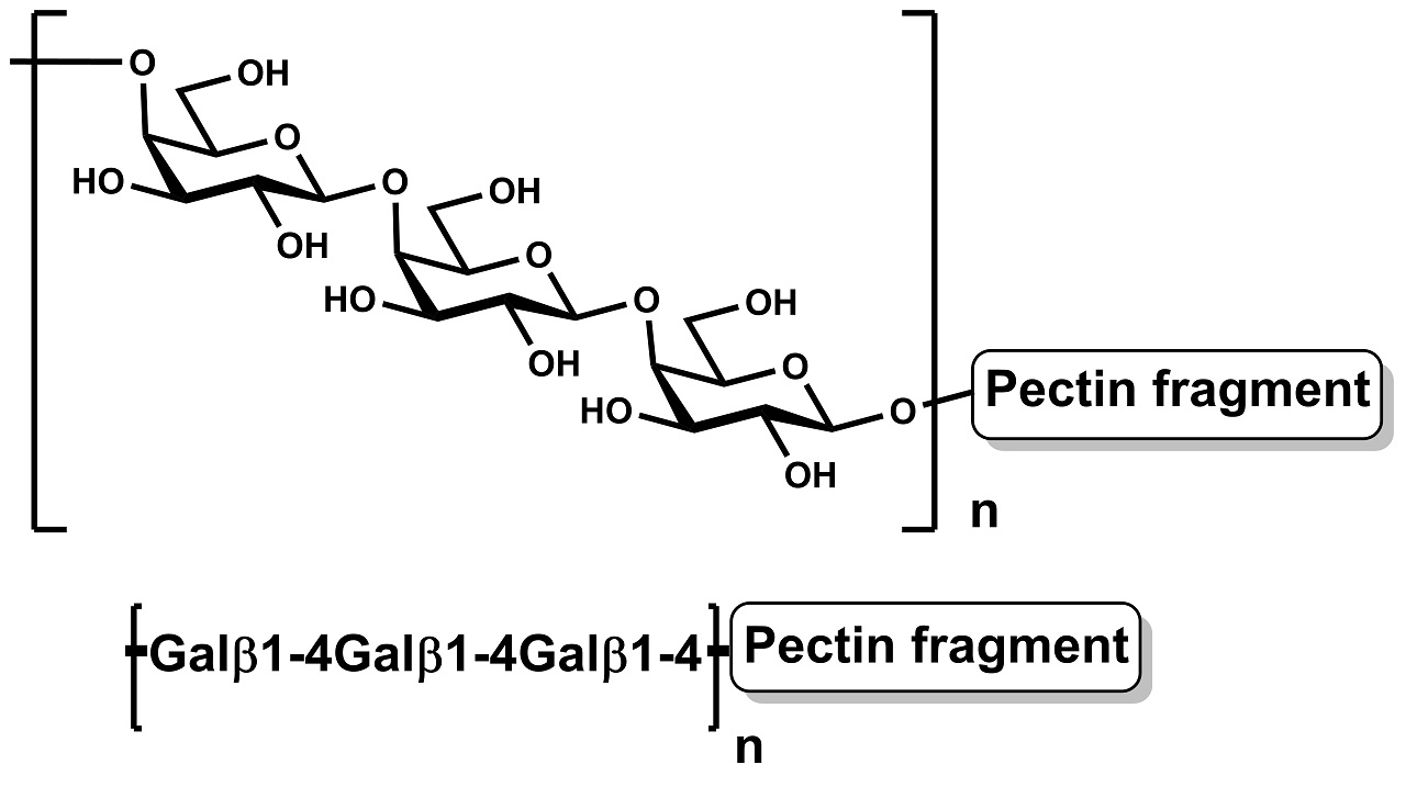 Pectic Galactan (Potato) (P-PGAPT)
