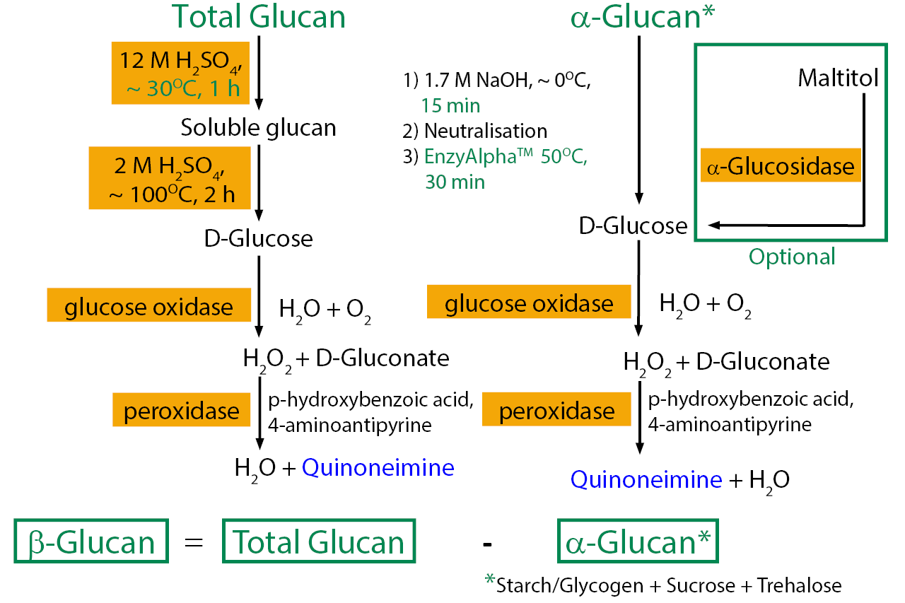 Beta-Glucan Assay Kit (Yeast and Mushroom) (K-YBGL)