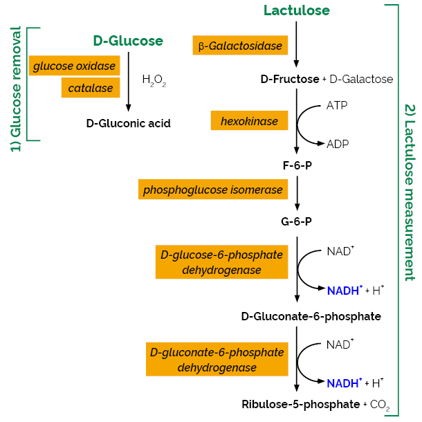 Scheme-K-LACTUL LACTUL Megazyme