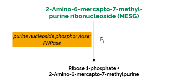 Scheme-K-PHOS PHOS Megazyme