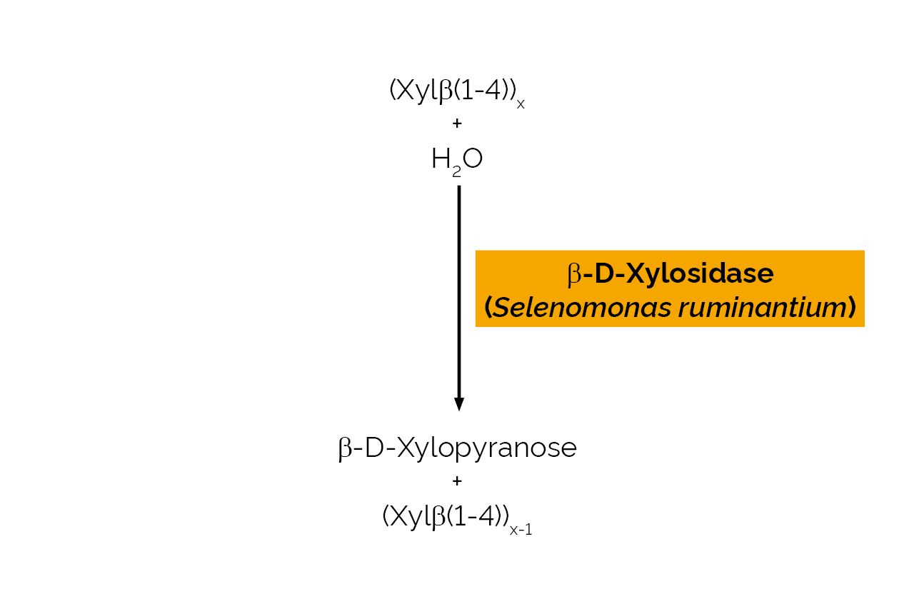 Beta-D-Xylosidase (Selenomonas ruminantium) (E-BXSR) Scheme Beta-D-Xylosidase (Selenomonas ruminantium) (E-BXSR) Scheme