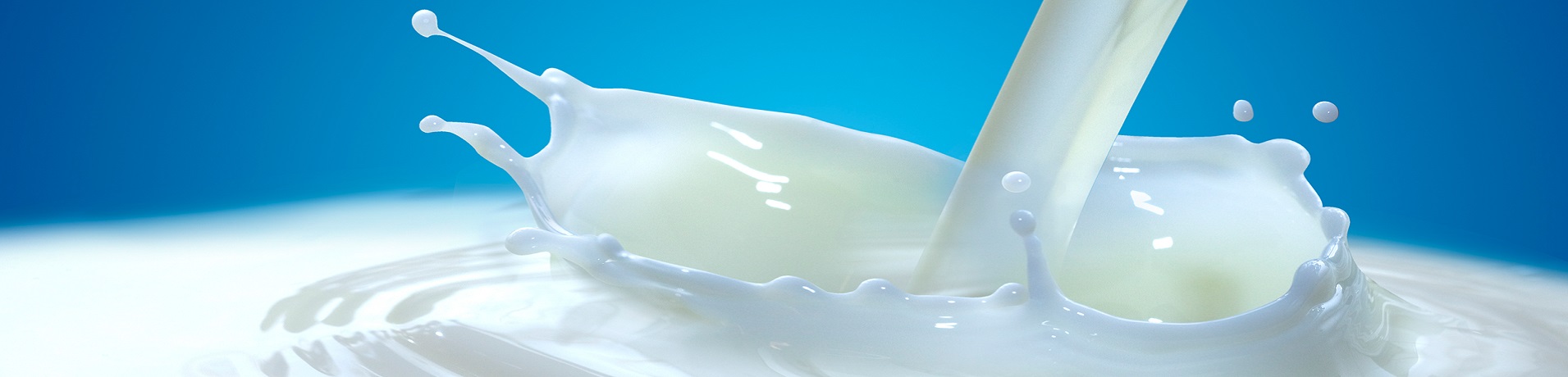 Dairy