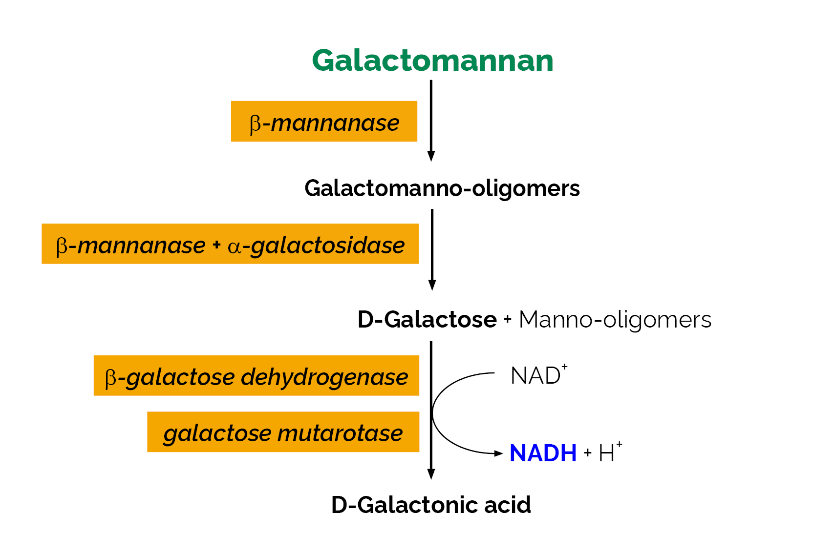 Galactomannan Assay Kit (K-GALM) Scheme Galactomannan Assay Kit (K-GALM) Scheme