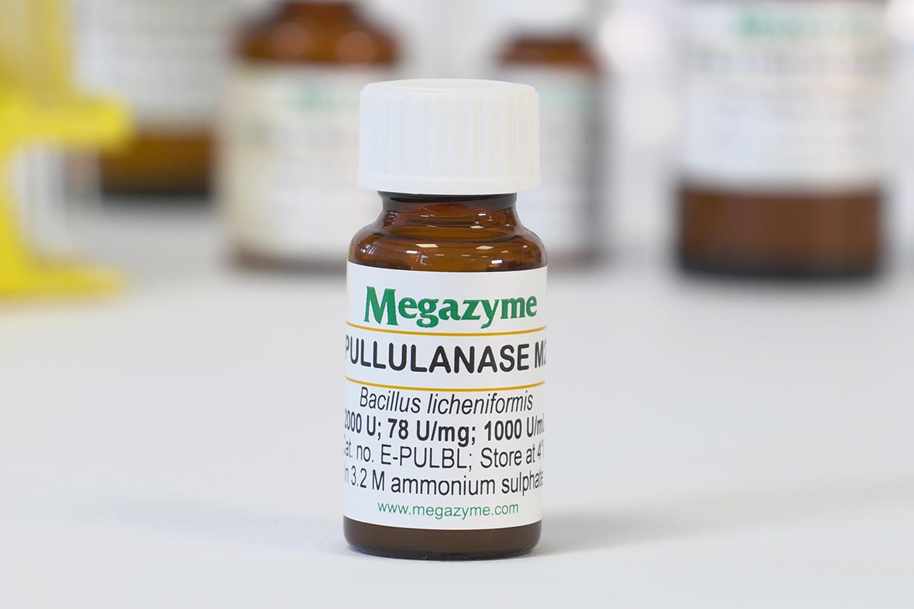 Pullulanase M2 (Bacillus licheniformis) (E-PULBL)