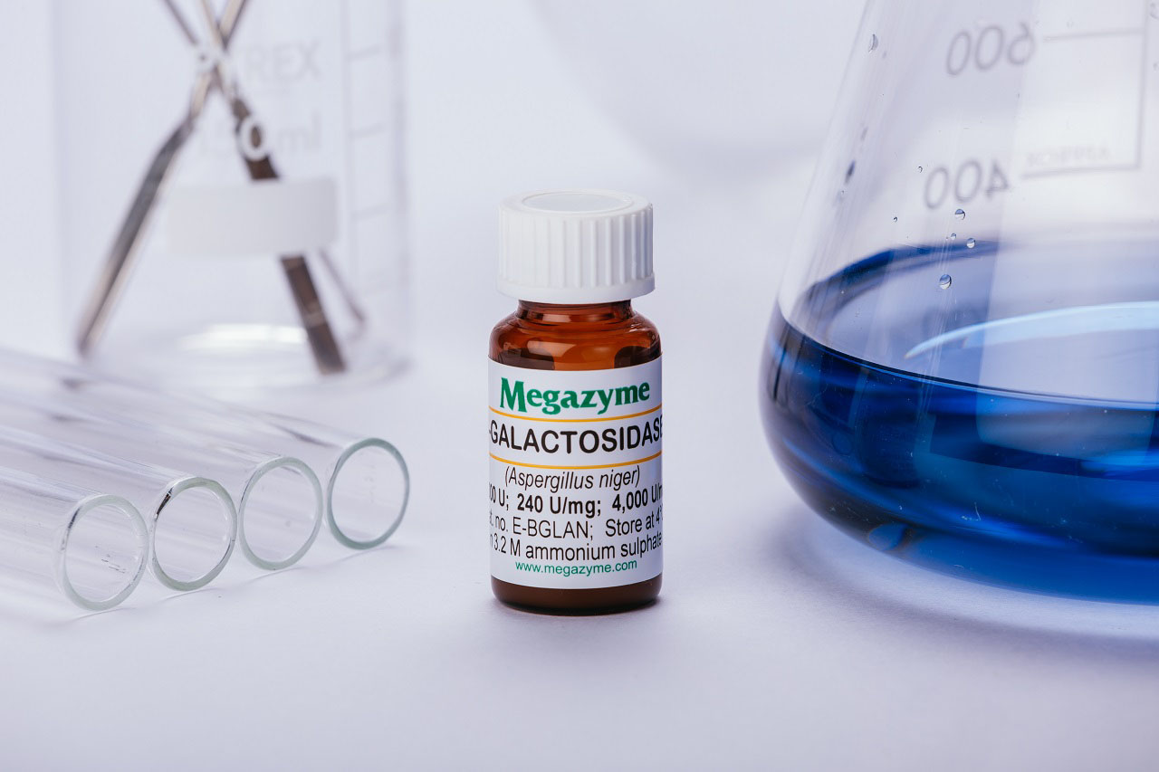 Beta-Galactosidase (Aspergillus niger) (E-BGLAN)