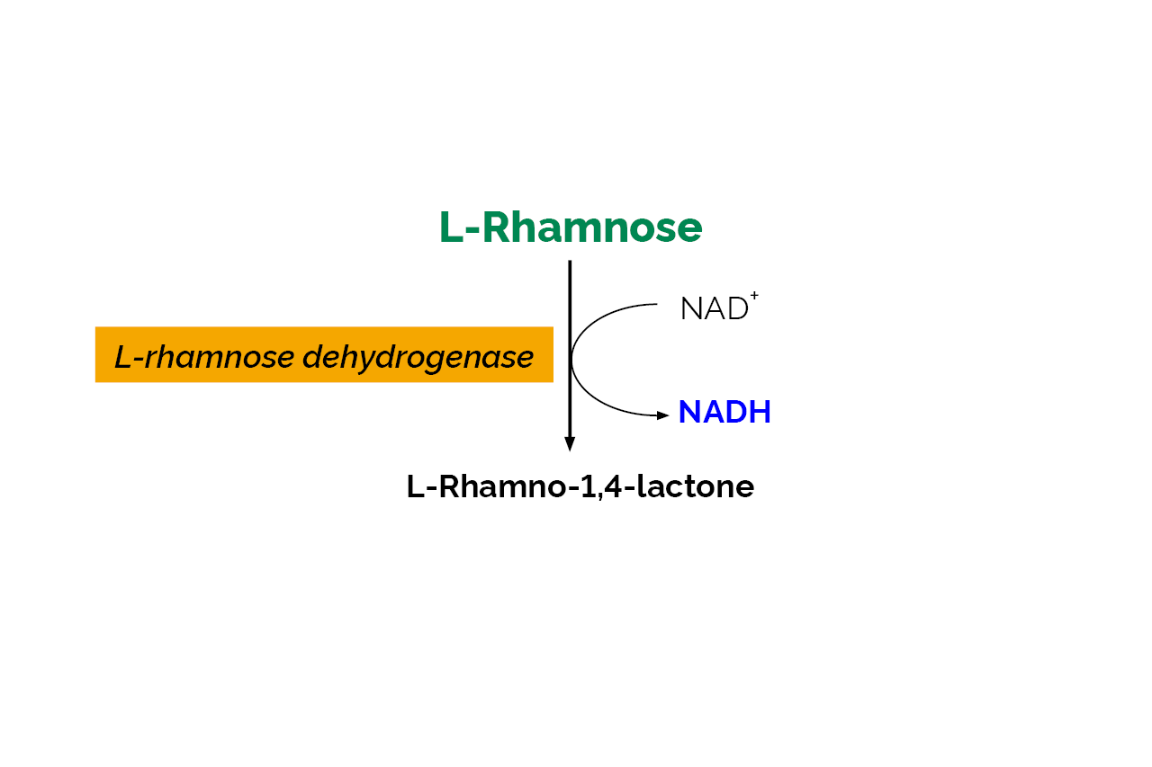 L-Rhamnose Assay Kit (K-RHAMNOSE) Scheme