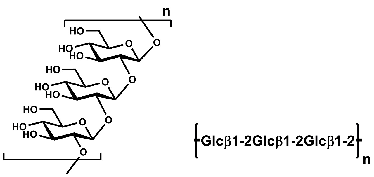 1,2-beta-Glucan (P-BGLU12) 1,2-beta-Glucan (P-BGLU12)
