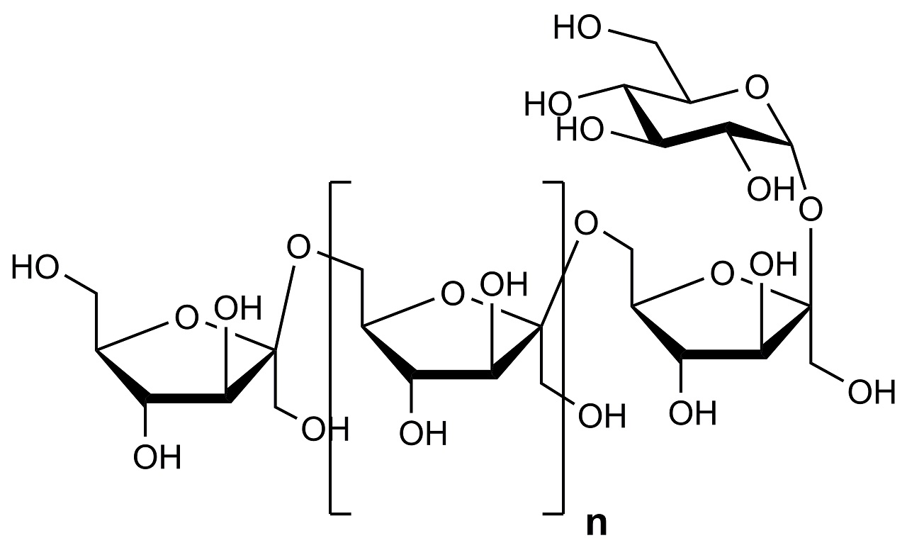 Levan (P-LEVAN)