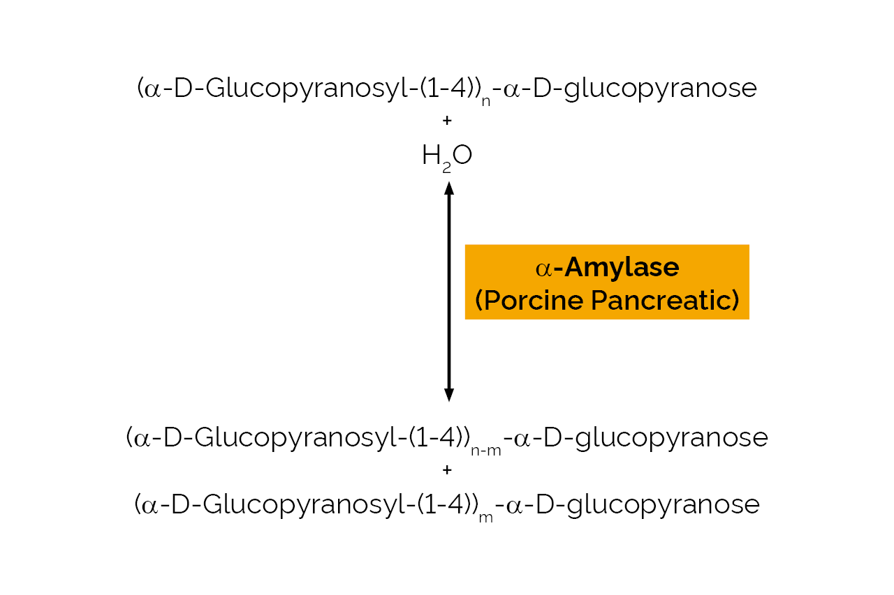 Alpha-Amylase (Porcine Pancreatic) (E-PANAA) Scheme Alpha-Amylase (Porcine Pancreatic) (E-PANAA) Scheme
