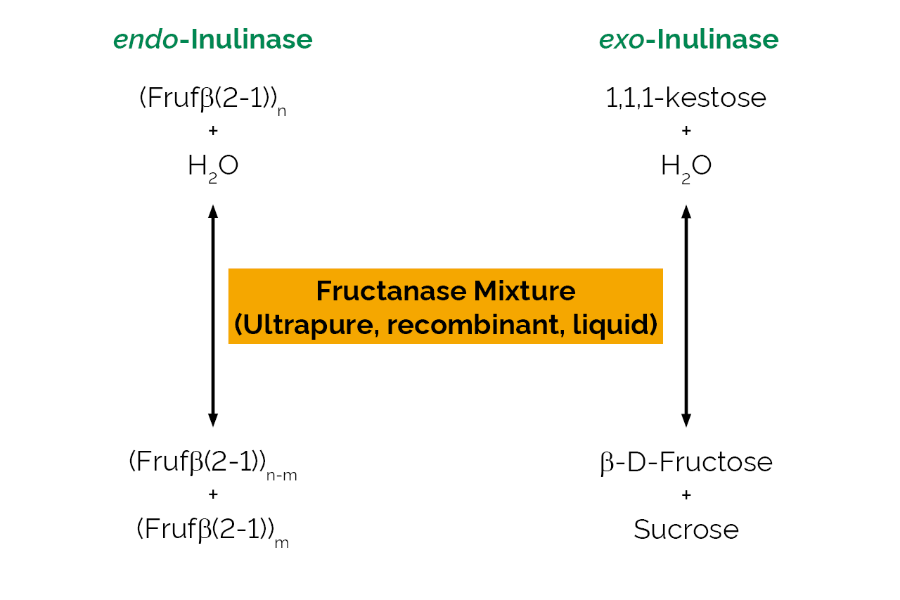 Fructanase Mixture (Ultrapure, recombinant, liquid) (E-FRLQPU ) Scheme Fructanase Mixture (Ultrapure, recombinant, liquid) (E-FRLQPU ) Scheme