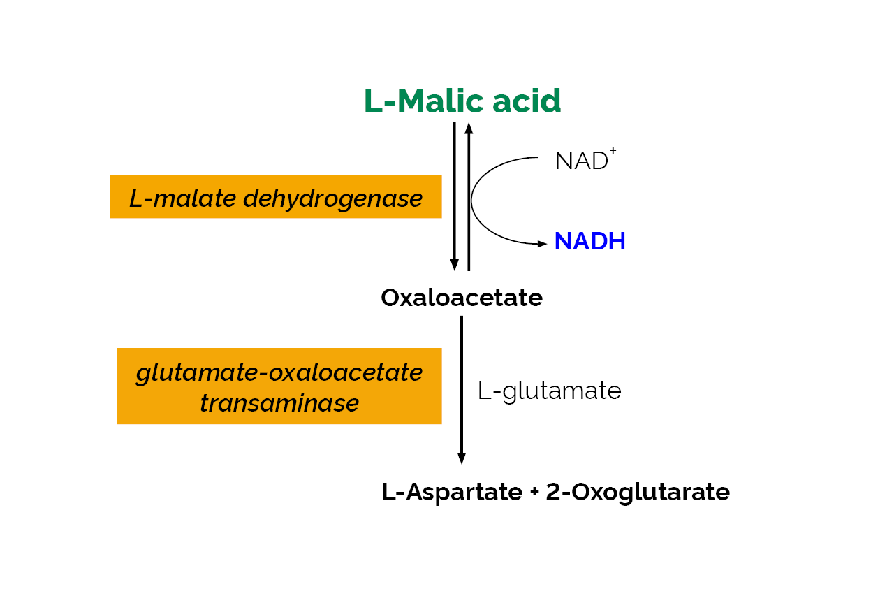 L-Malic Acid Assay Kit (Analyser Format) (K-LMALAF) Scheme
