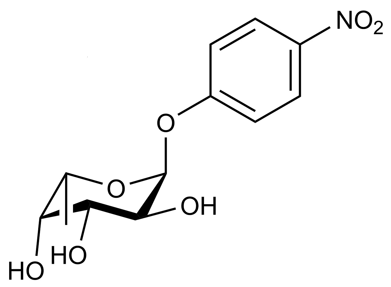 4-Nitrophenyl-alpha-L-fucopyranoside (O-PNPAFC) 4-Nitrophenyl-alpha-L-fucopyranoside (O-PNPAFC)