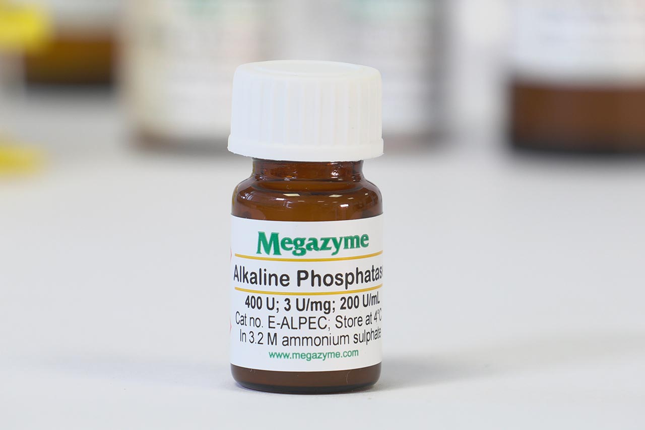 Phosphatase (Alkaline) (Escherichia coli) (E-ALPEC)