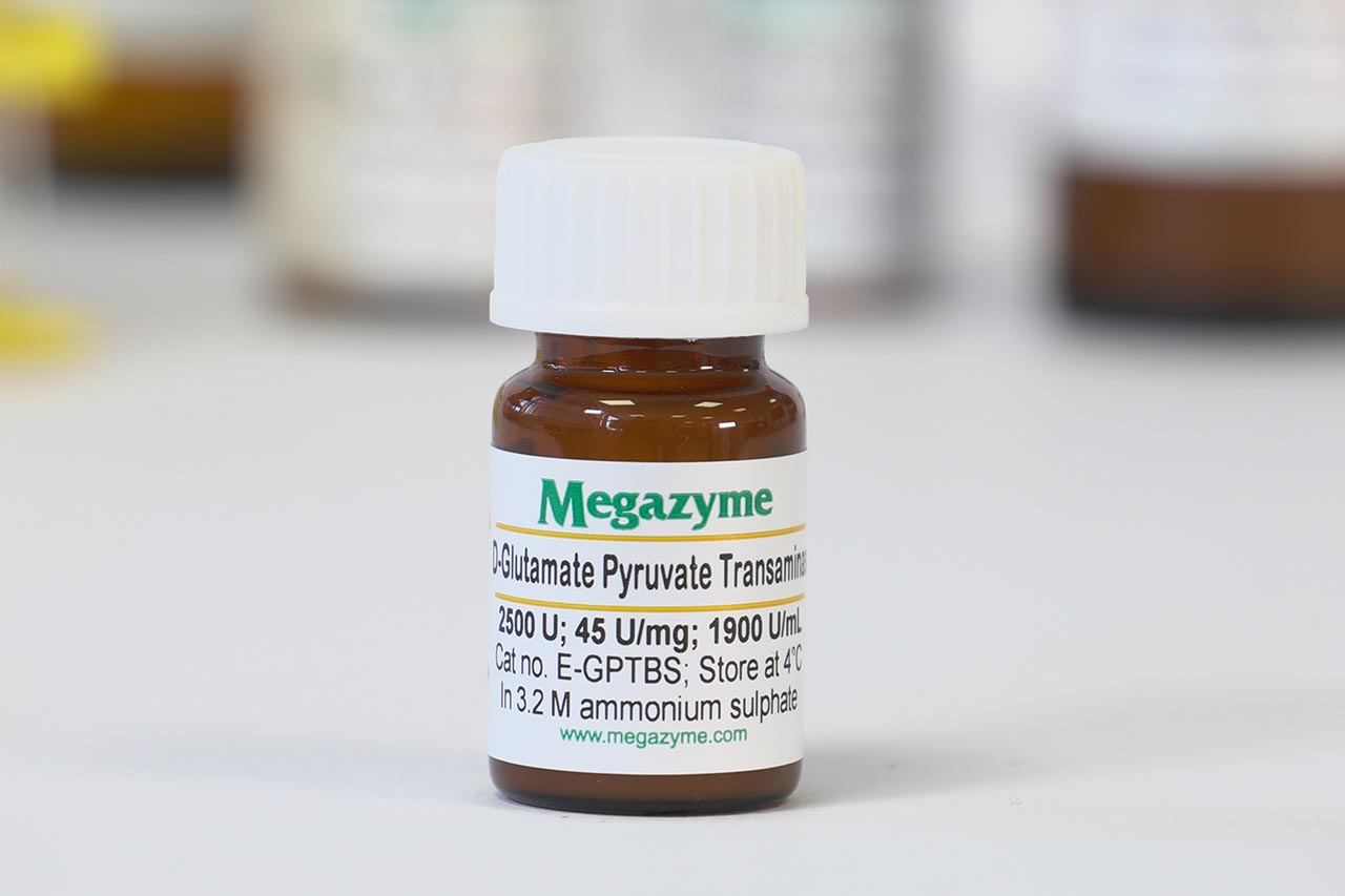 Glutamate pyruvate transaminase (Bacillus subtilis) (E-GPTBS) Glutamate pyruvate transaminase (Bacillus subtilis) (E-GPTBS)