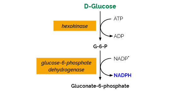 Scheme-K-GLUHK-220A GLUHK Megazyme