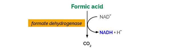 Scheme-K-FORM FORM Megayzme