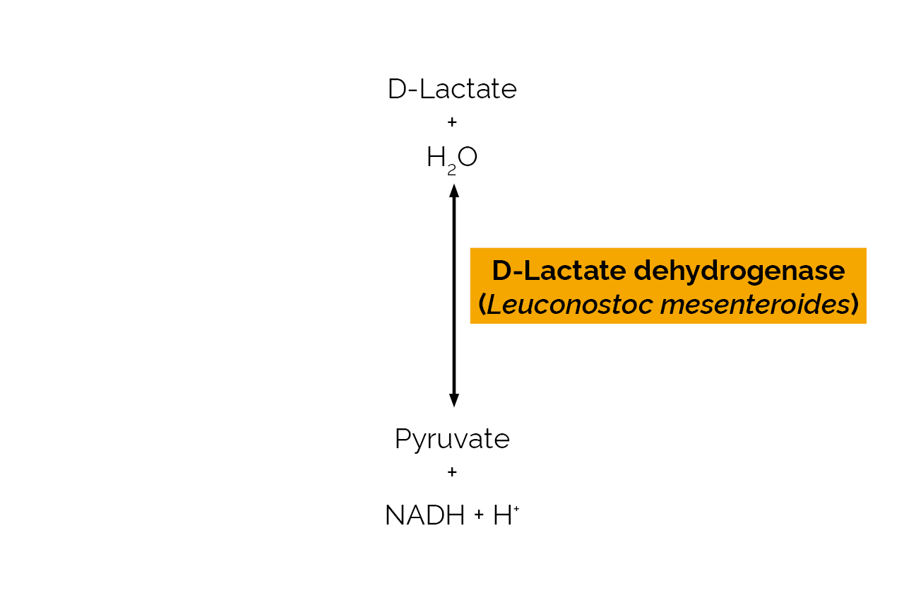 D-Lactate dehydrogenase (Leuconostoc mesenteroides) (E-DLDHLM) Scheme D-Lactate dehydrogenase (Leuconostoc mesenteroides) (E-DLDHLM) Scheme