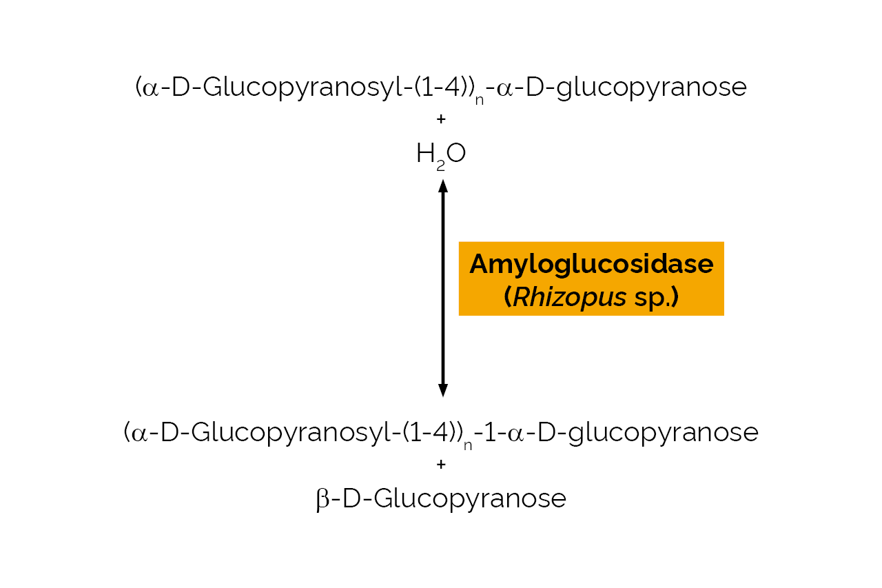 Amyloglucosidase (Rhizopus sp) (E-AMGPU) Scheme Amyloglucosidase (Rhizopus sp) (E-AMGPU) Scheme