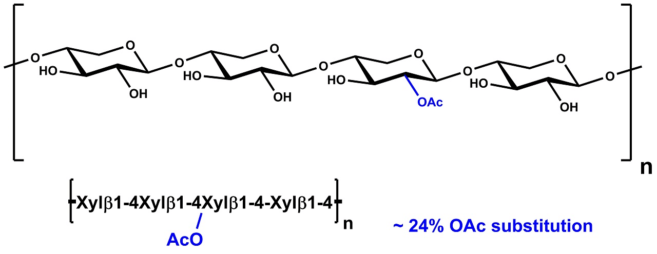 Xylan (Birchwood, partially acetylated) (P-ACXYL)