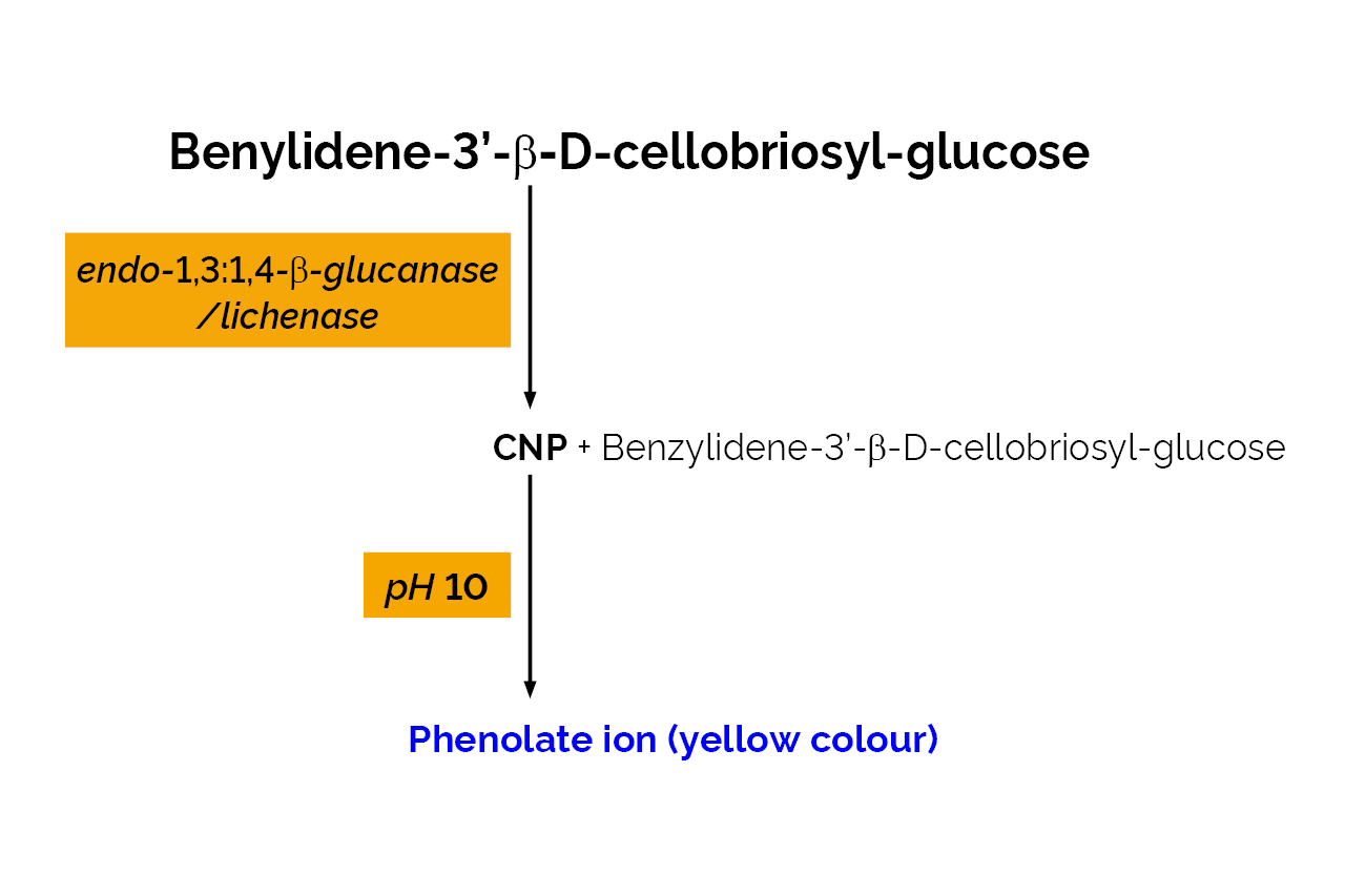 Malt Beta-Glucanase/Lichenase Assay Kit (MBG4 Method) (K-MBG4) Scheme Malt Beta-Glucanase/Lichenase Assay Kit (MBG4 Method) (K-MBG4) Scheme