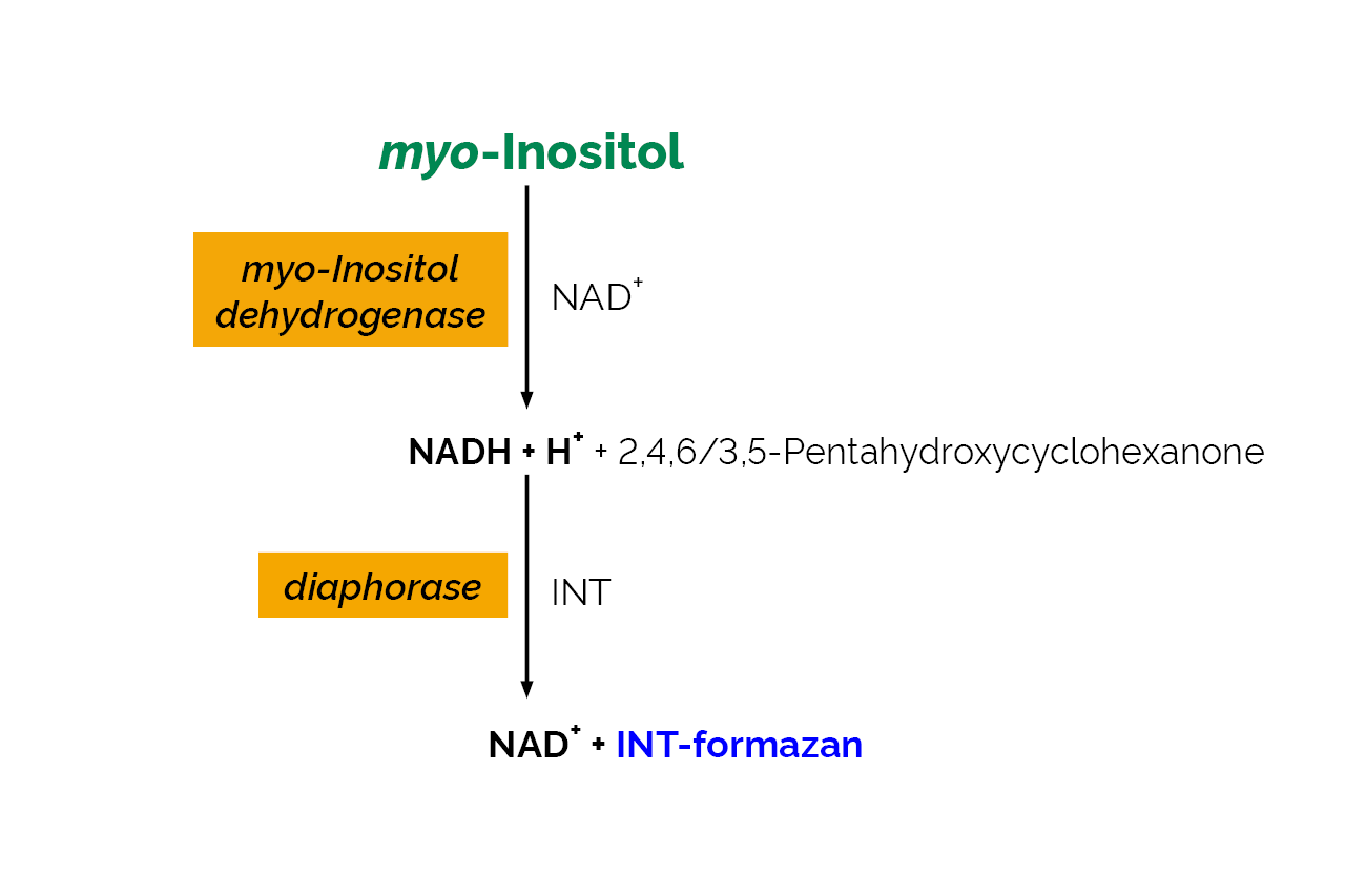 myo-Inositol Assay Kit (K-INOSL) Scheme myo-Inositol Assay Kit (K-INOSL) Scheme