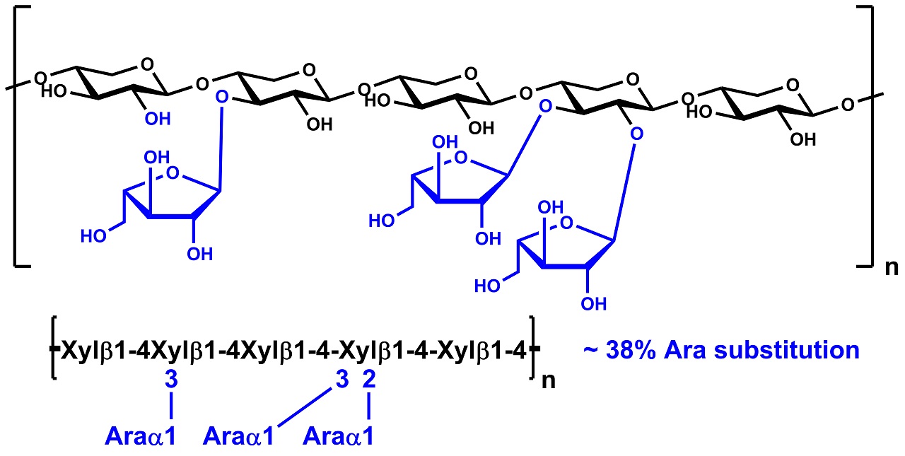 Arabinoxylan (Wheat Flour High Viscosity) (P-WAXYH)