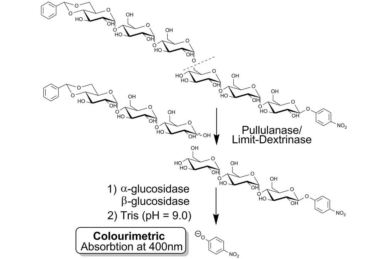 Pullulanase/Limit-Dextrinase Assay Kit (PullG6 Method) (K-PullG6)