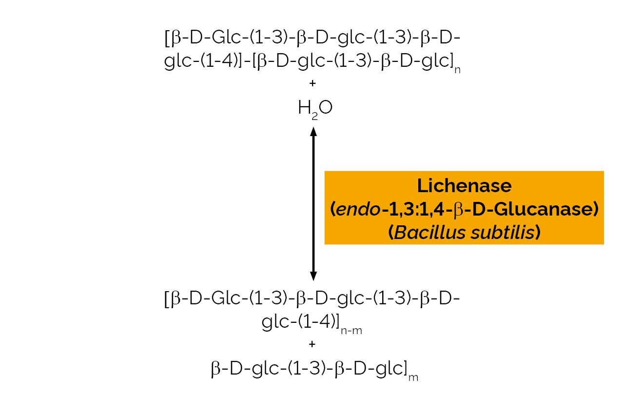 Lichenase (endo-1,3-1,4-beta-D-Glucanase) (Bacillus subtilis) (E-LICHN) Scheme