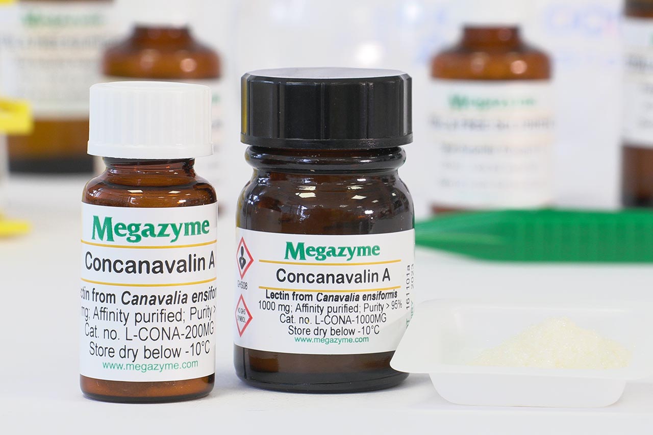 Concanavalin A (Con A) (L-CONA)