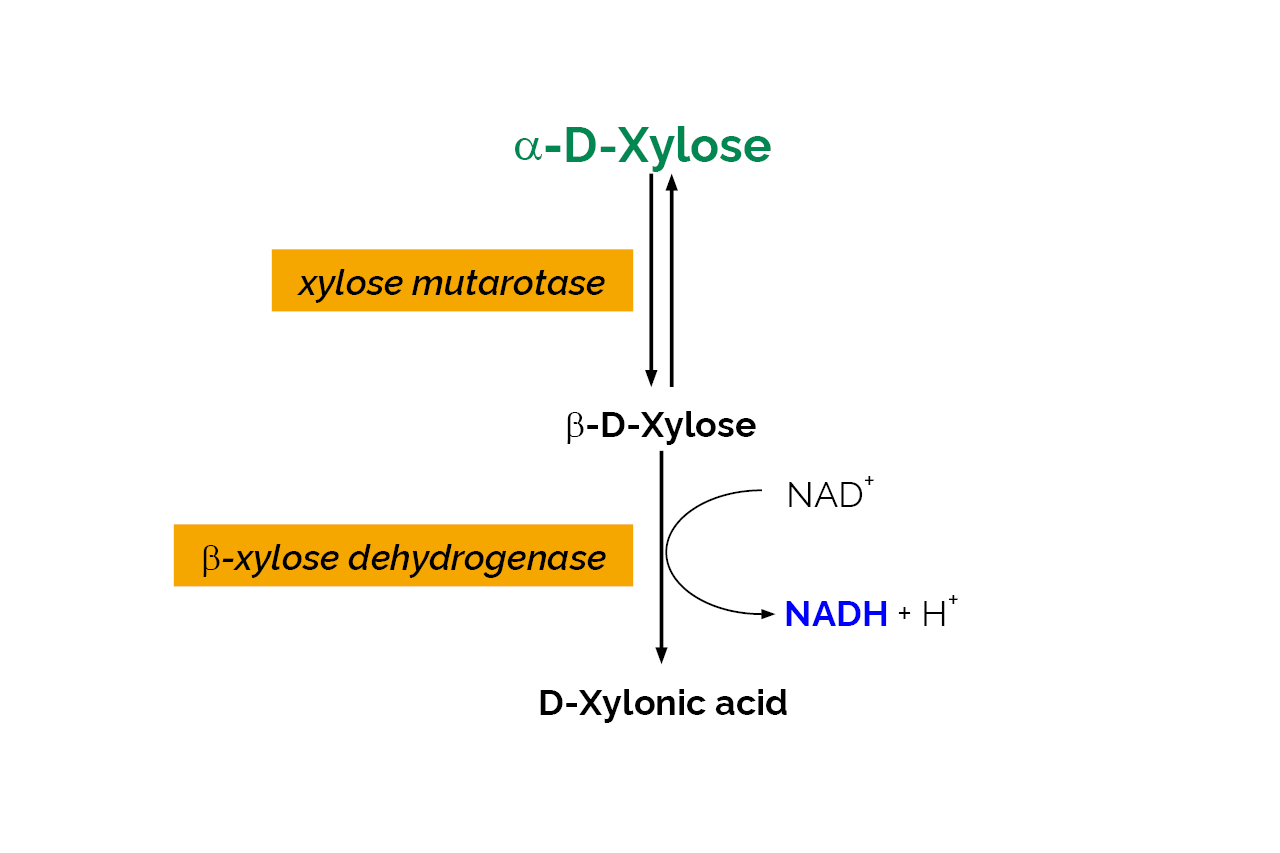 D-Xylose Assay Kit (K-XYLOSE) Scheme