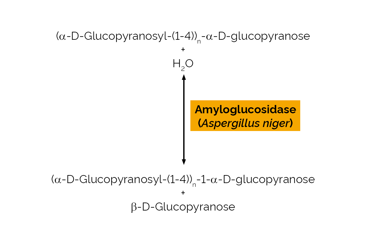 Amyloglucosidase (Aspergillus niger) (E-AMGFR) Scheme