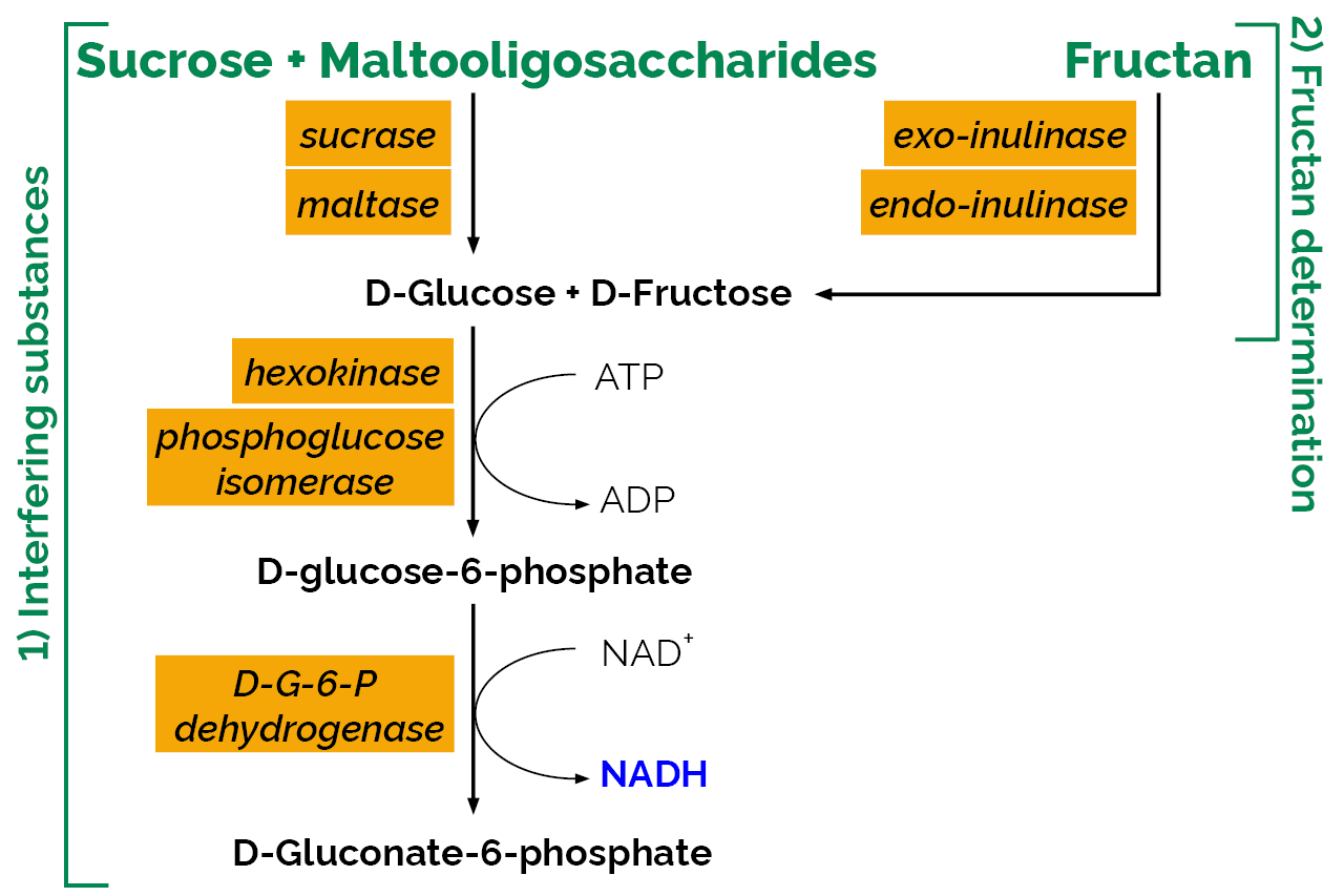 Fructan HK Assay Kit (K-FRUCHK) Scheme Fructan HK Assay Kit (K-FRUCHK) Scheme