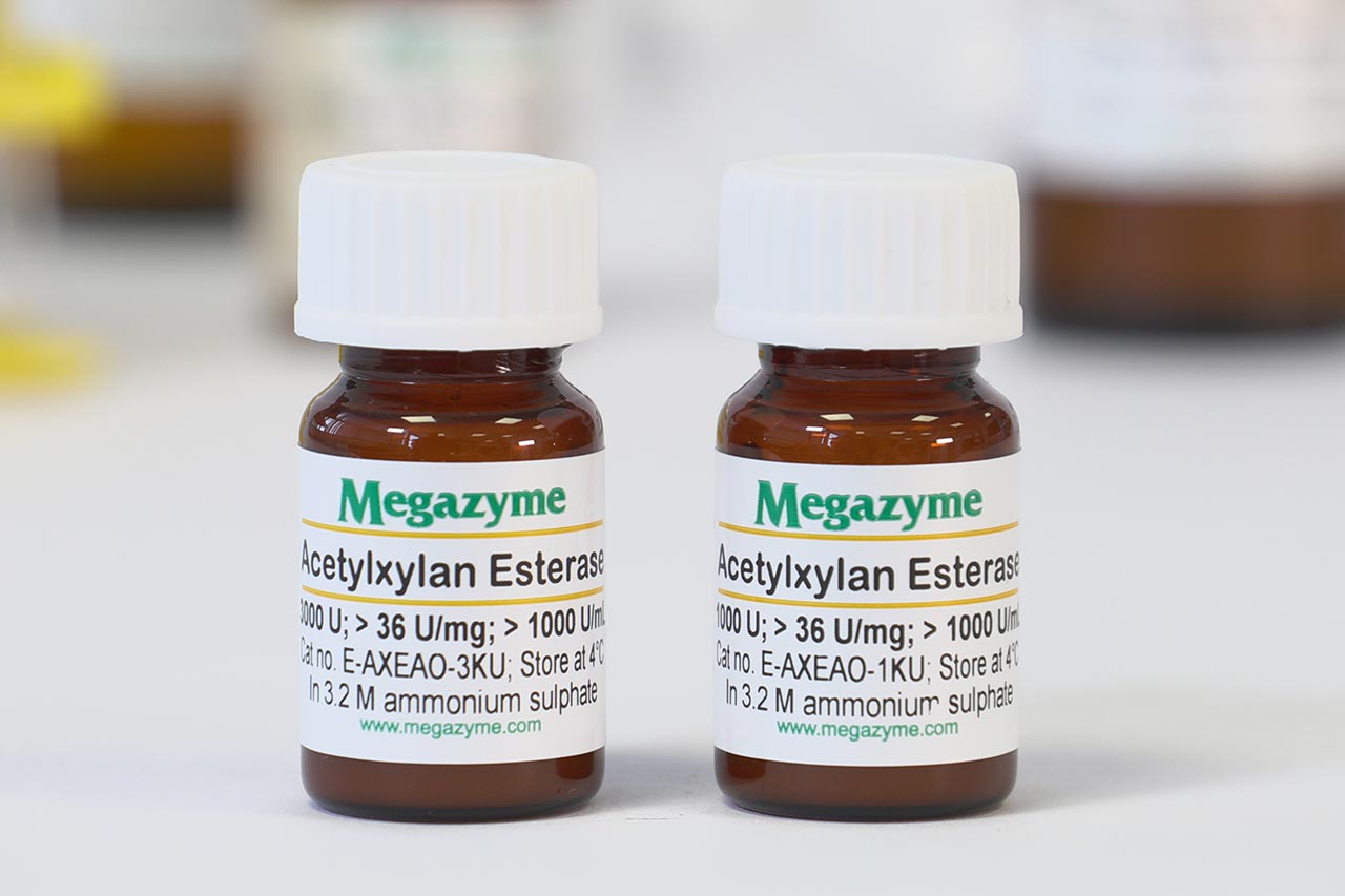 Acetylxylan esterase (Orpinomyces sp) (E-AXEAO) Acetylxylan esterase (Orpinomyces sp) (E-AXEAO)