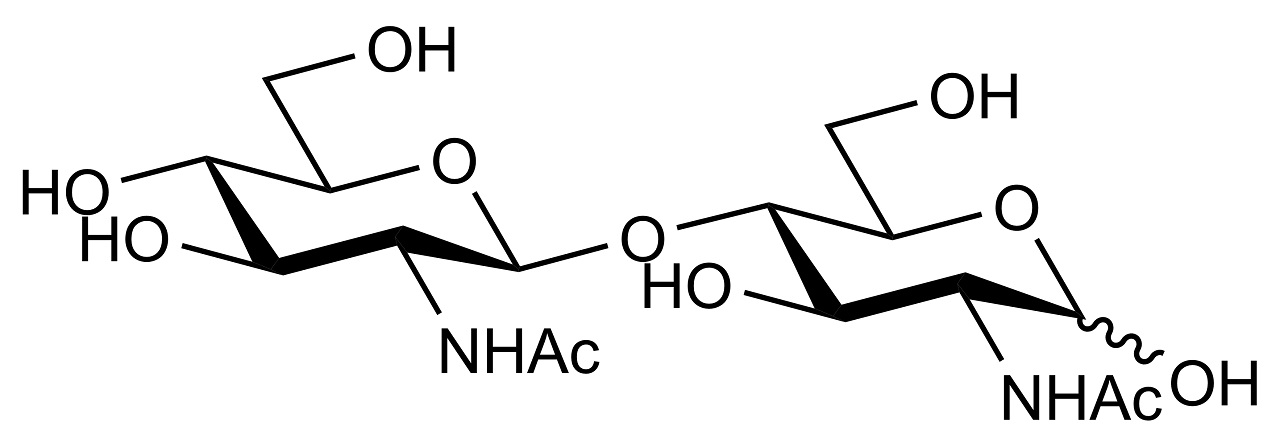 Diacetyl-chitobiose (O-CHI2)