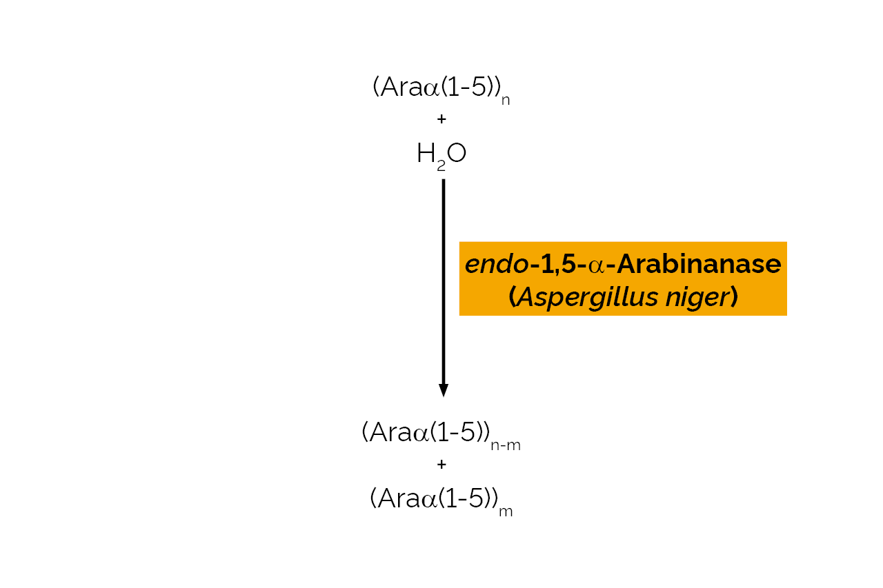 endo-1,5-alpha-Arabinanase (Aspergillus niger) (E-EARAB) Scheme endo-1,5-alpha-Arabinanase (Aspergillus niger) (E-EARAB) Scheme