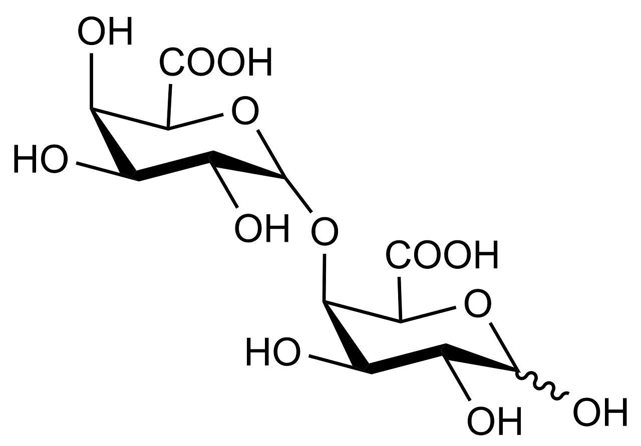 Digalacturonic acid (O-GALA2) Digalacturonic acid (O-GALA2)
