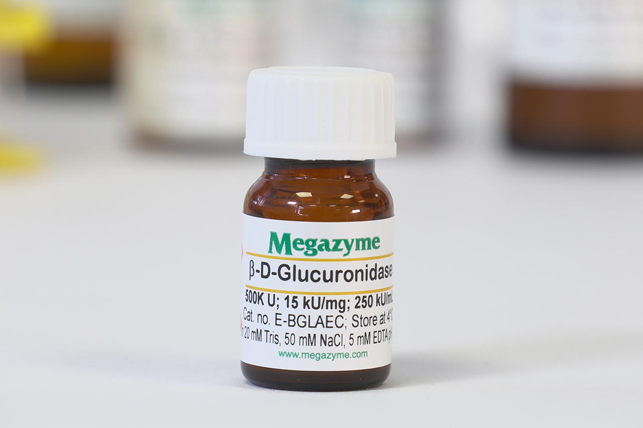 Beta-Glucuronidase (Escherichia coli) (E-BGLAEC)