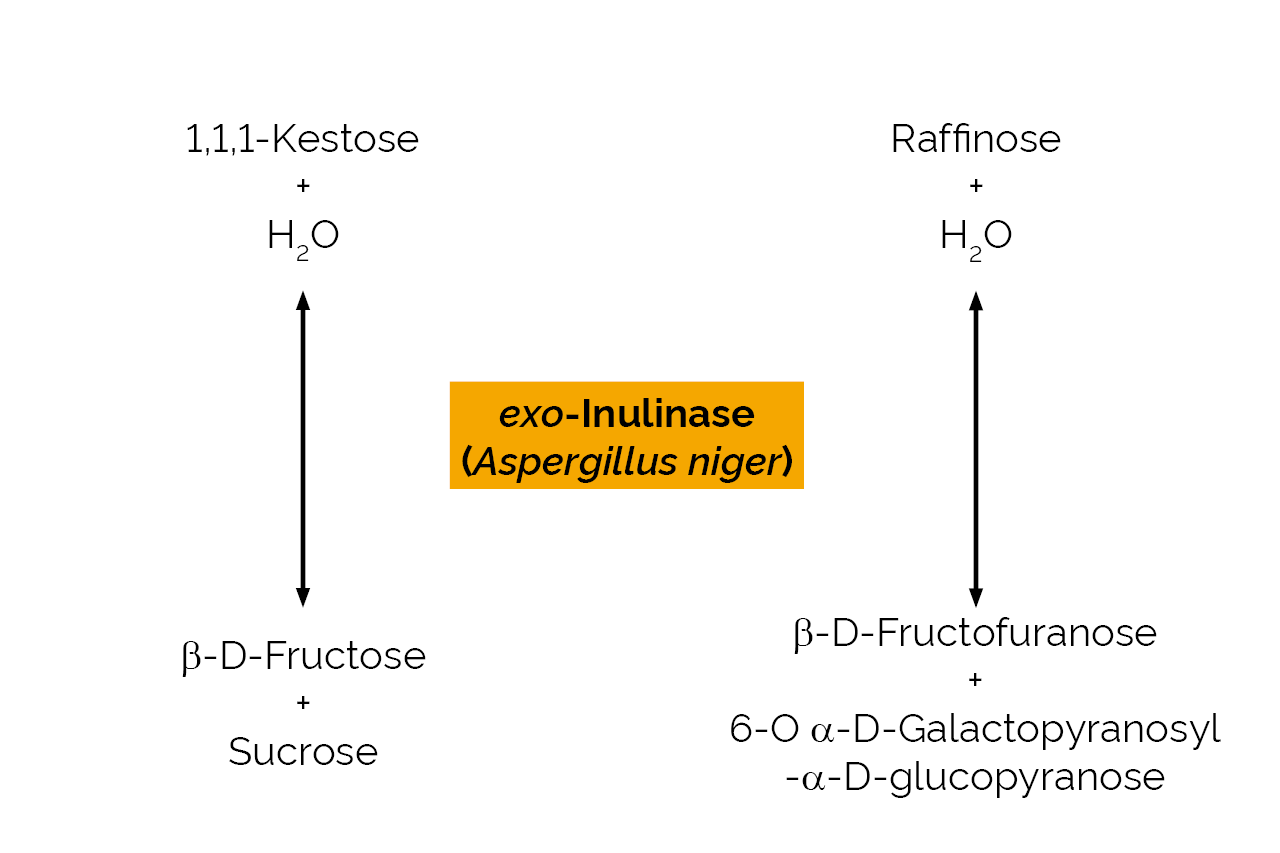 exo-Inulinase (Aspergillus niger) (E-EXOIAN) Scheme exo-Inulinase (Aspergillus niger) (E-EXOIAN) Scheme
