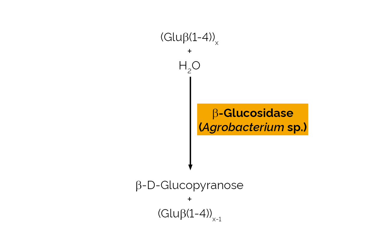 Beta-Glucosidase (Agrobacterium sp.) (E-BGOSAG) Scheme