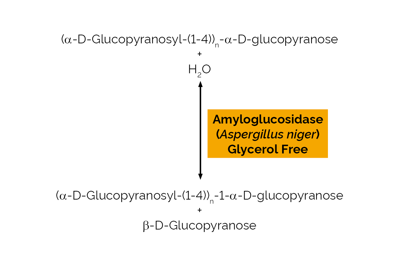Amyloglucosidase (Aspergillus niger) Glycerol Free (E-AMGDFNG) Scheme Amyloglucosidase (Aspergillus niger) Glycerol Free (E-AMGDFNG) Scheme