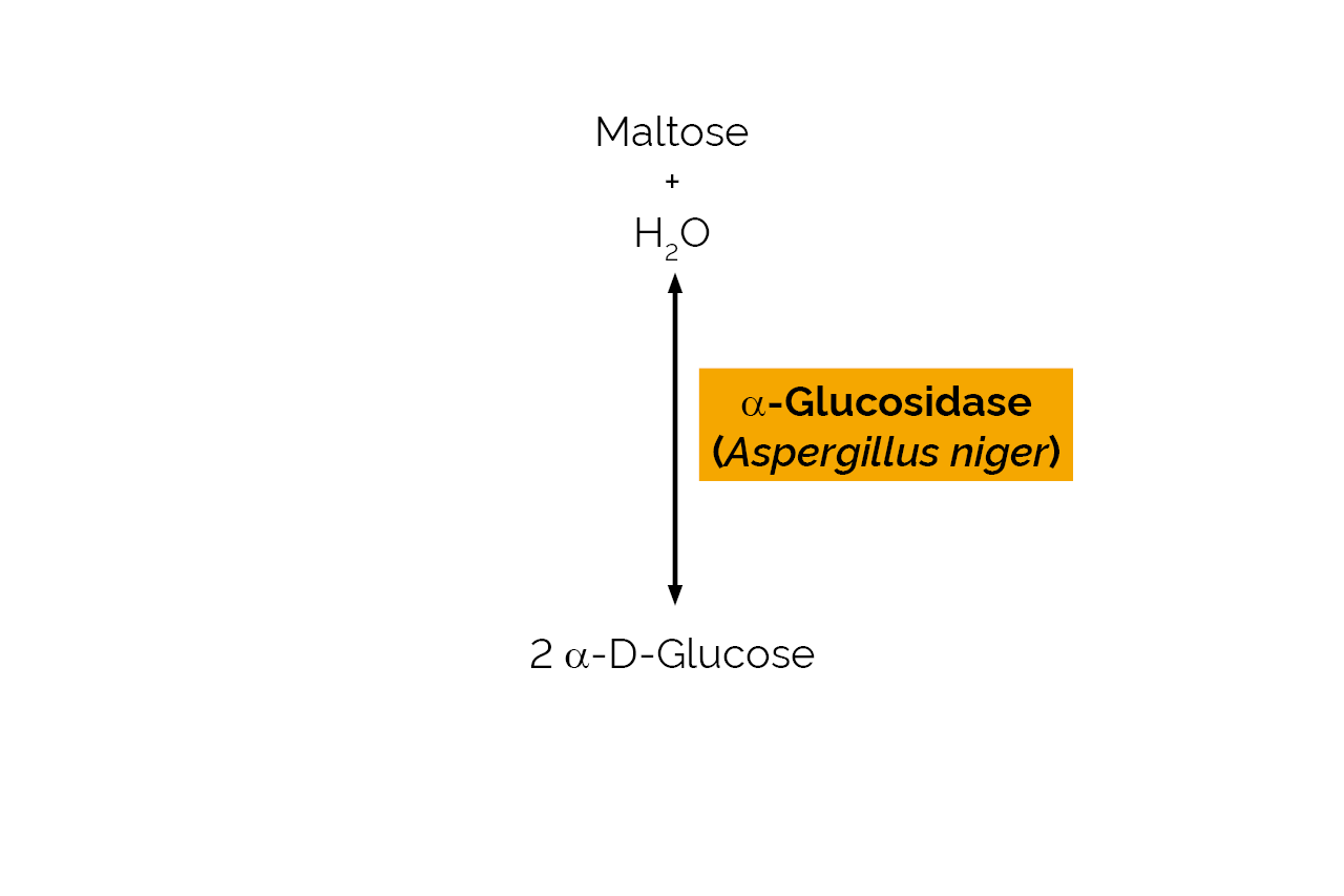 Alpha-Glucosidase (Aspergillus niger) (E-TRNGL) Scheme Alpha-Glucosidase (Aspergillus niger) (E-TRNGL) Scheme
