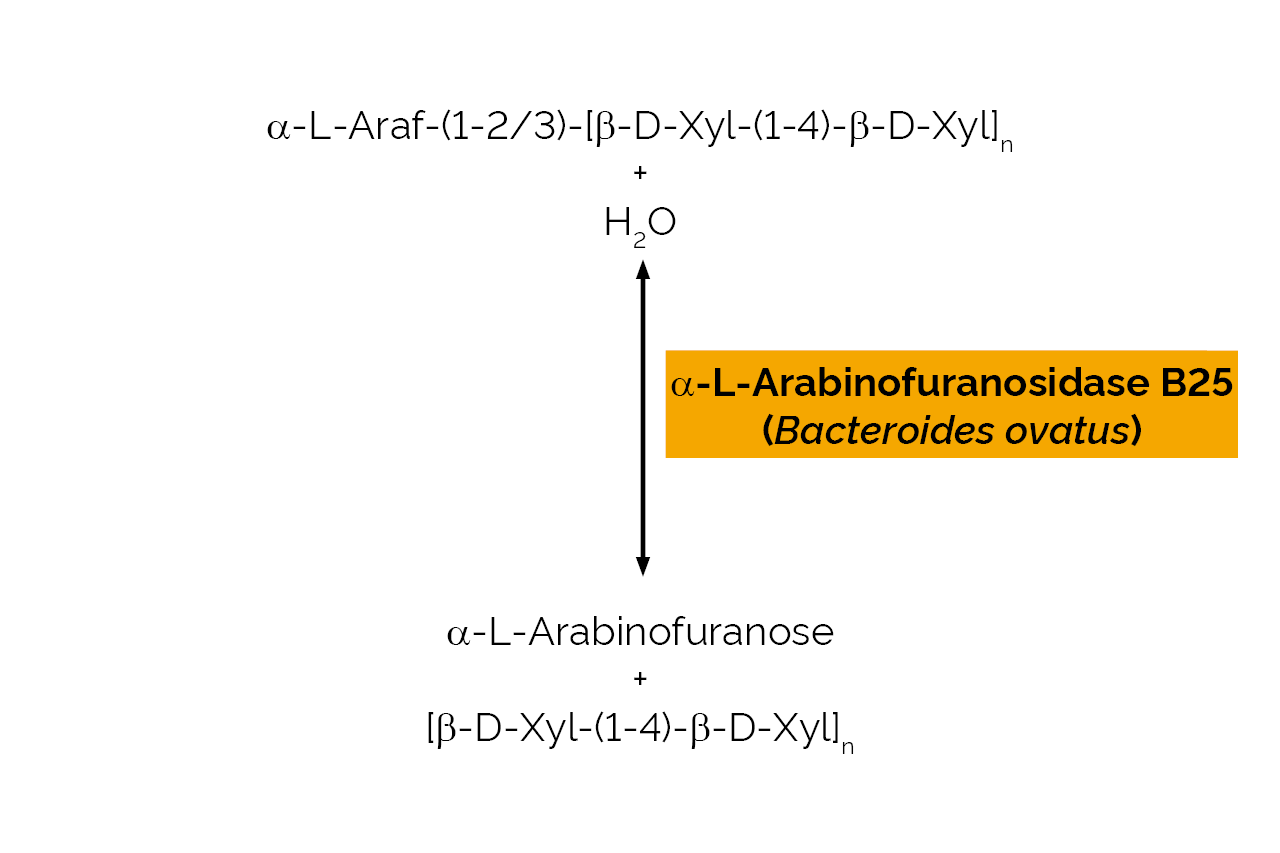 Alpha-L-Arabinofuranosidase B25 (Bacteroides ovatus) (E-ABFBO25) Scheme Alpha-L-Arabinofuranosidase B25 (Bacteroides ovatus) (E-ABFBO25) Scheme