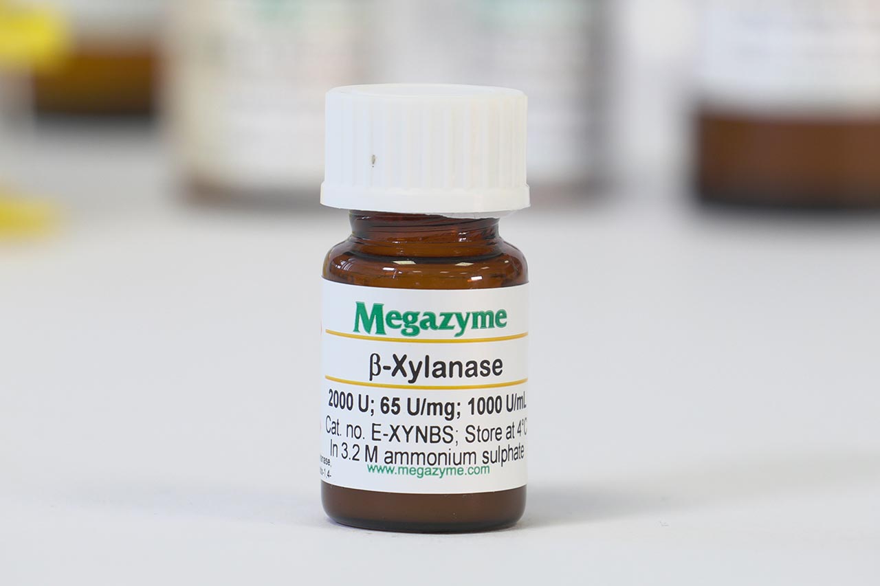 endo-1,4-beta-Xylanase (Bacillus stearothermophilus T6) (E-XYNBS) endo-1,4-beta-Xylanase (Bacillus stearothermophilus T6) (E-XYNBS)