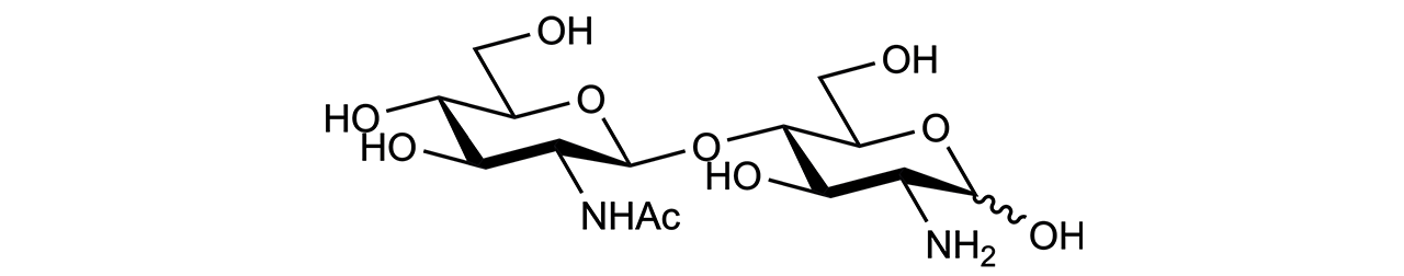 1,4-beta-D-N-Acetylglucosaminyl-D-Glucosamine (O-CHIN2A) 1,4-beta-D-N-Acetylglucosaminyl-D-Glucosamine (O-CHIN2A)