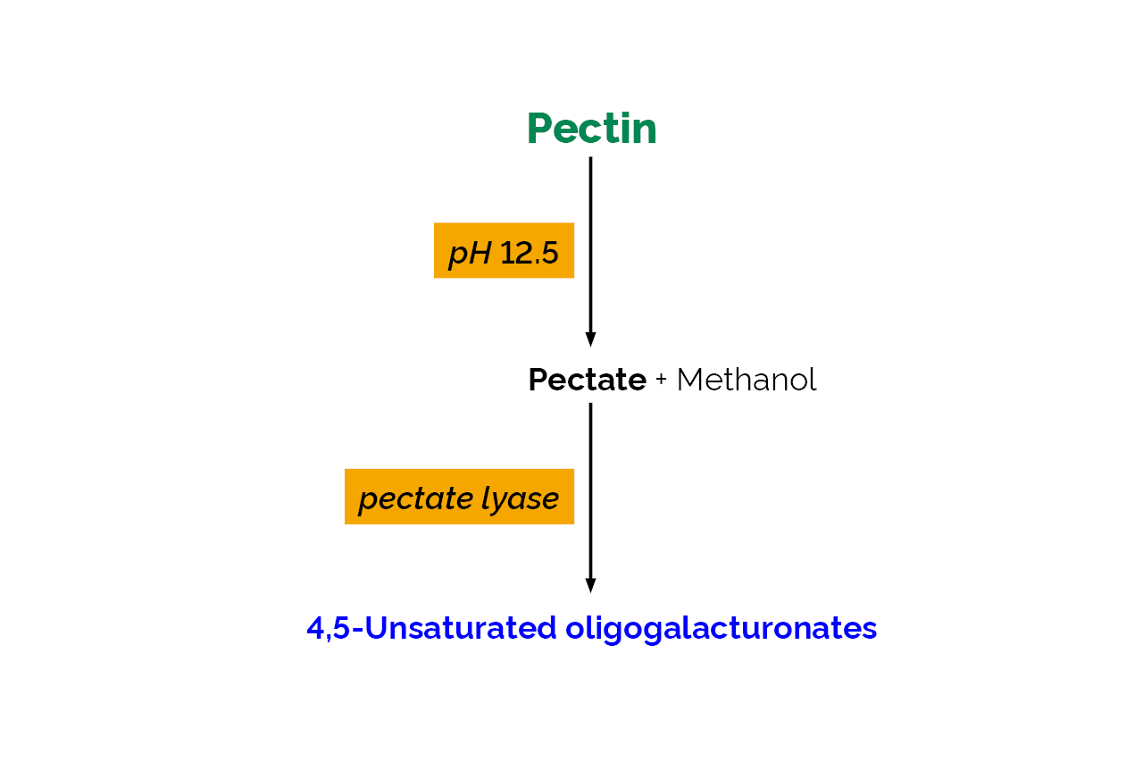 Pectin Identification Assay Kit (K-PECID) Scheme Pectin Identification Assay Kit (K-PECID) Scheme