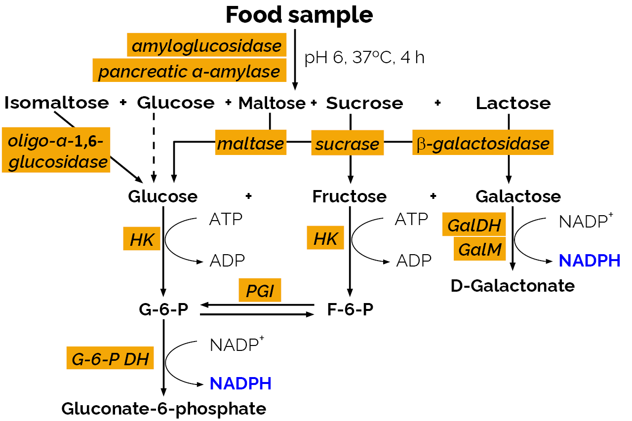 Available Carbohydrates Assay Kit (K-AVCHO) Scheme Available Carbohydrates Assay Kit (K-AVCHO) Scheme