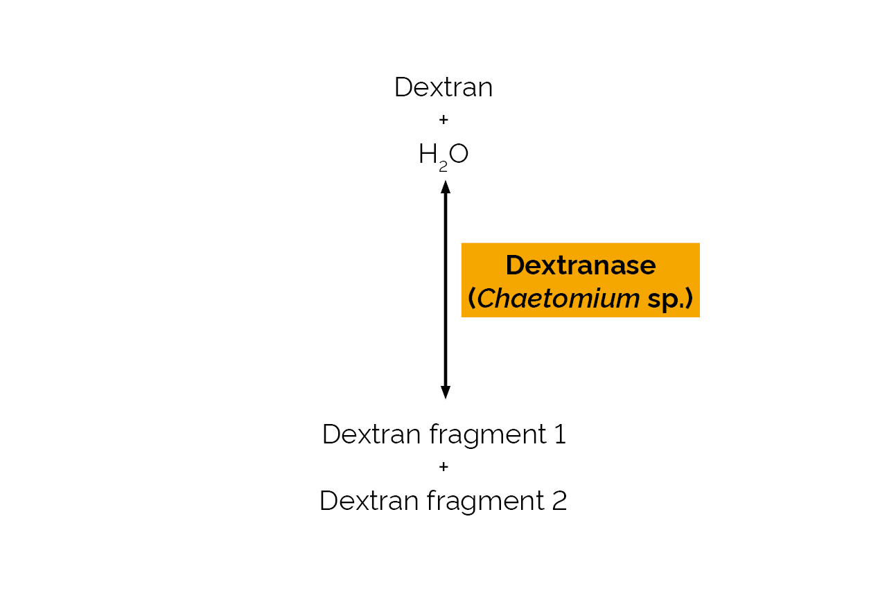 Dextranase (Chaetomium sp) (E-DEXT) Scheme Dextranase (Chaetomium sp) (E-DEXT) Scheme